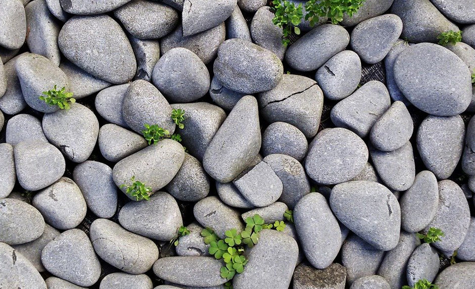 Building Stones Testing Services